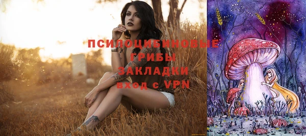 Альфа ПВП Белокуриха